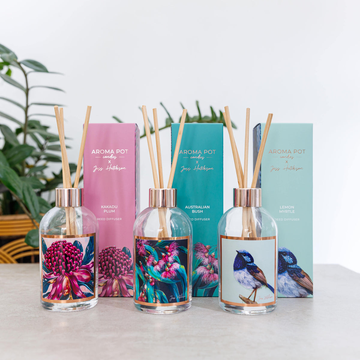 Artist Reed Diffusers Australian artist reed diffuser | Kakadu plum | 200ml – Becl'yn Boutique