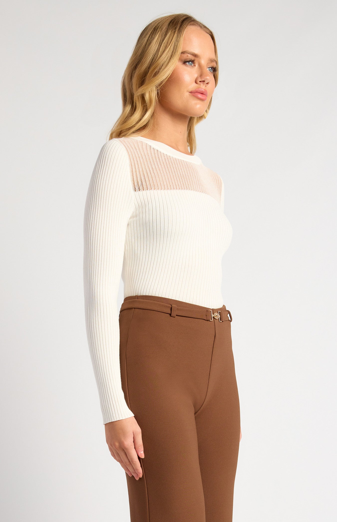 Sheer Stripe Textured Neckline Long Sleeve Knit Top
